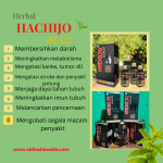 agen Hachijo gold