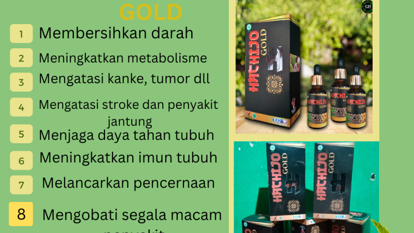 agen Hachijo gold